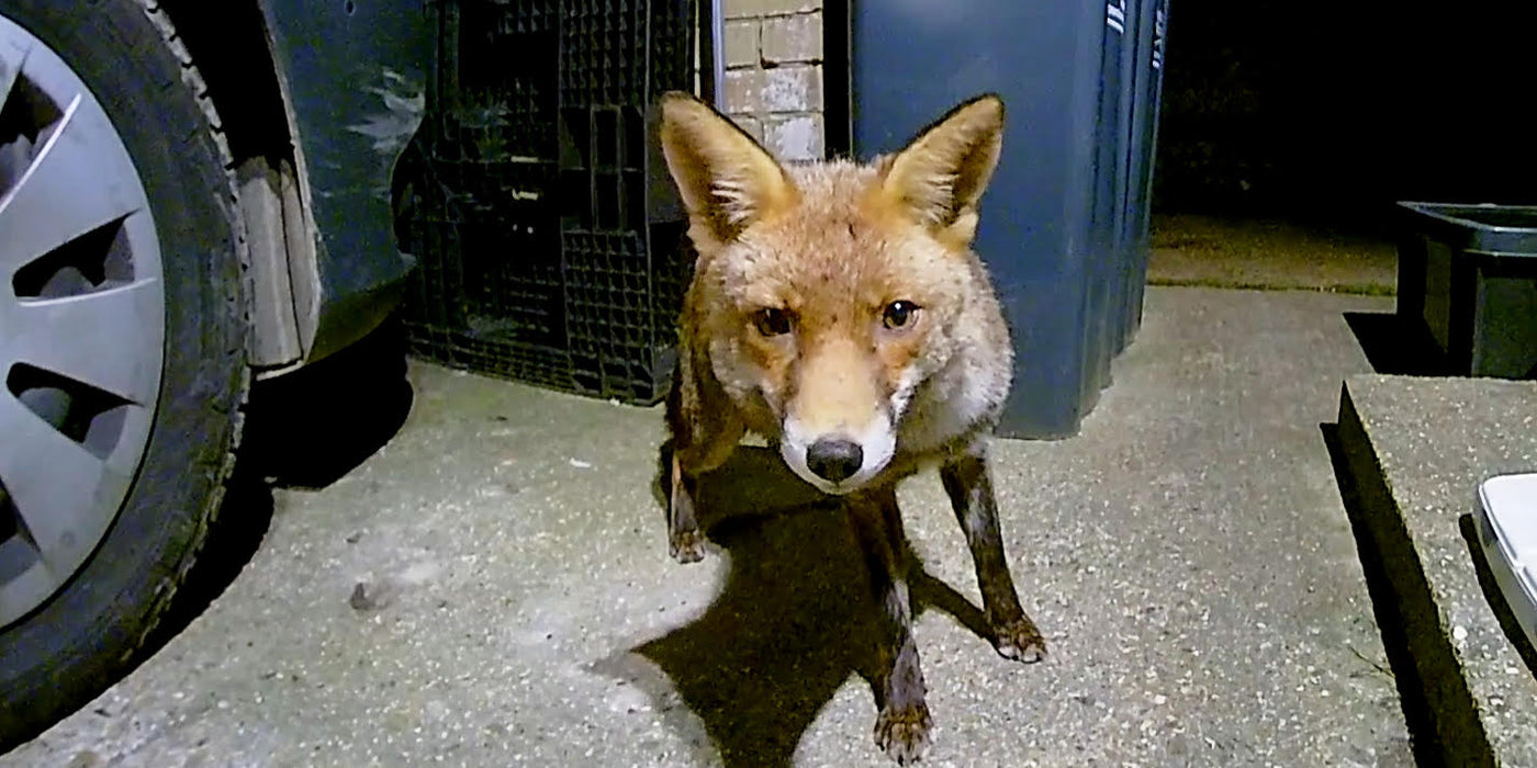 Surveillez l'ensemble de votre domicile (et votre résidence secondaire).