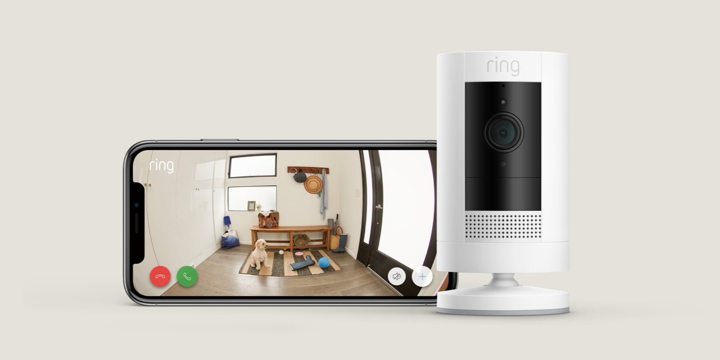 Avec Ring, surveillez vos animaux de compagnie où que vous soyez.