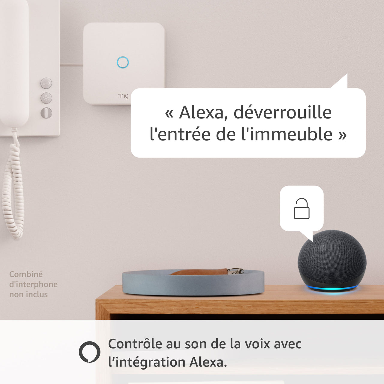 Ring Intercom
