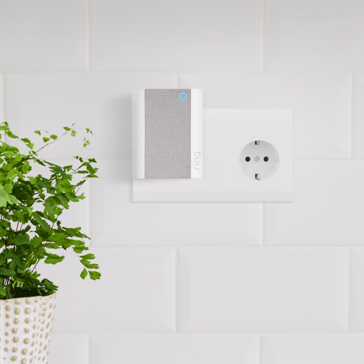 Battery Video Doorbell Plus + Chime